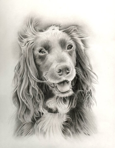 Tattoos - Drawing of Mia , I later did the portrait at Manchester convention  - 63622
